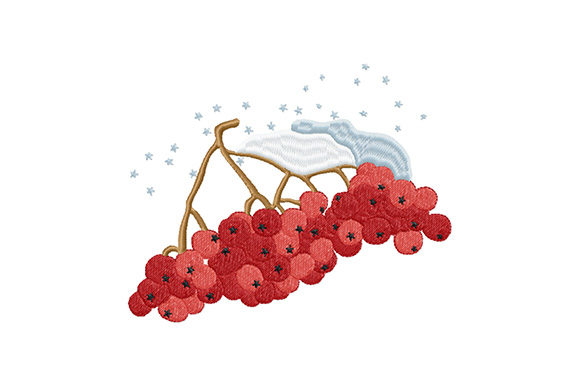 Winter Rowan Berries